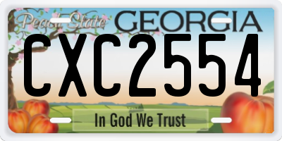 GA license plate CXC2554