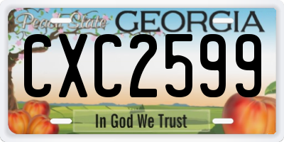 GA license plate CXC2599