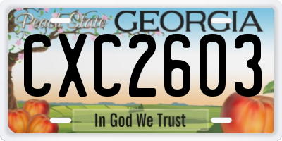 GA license plate CXC2603