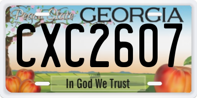 GA license plate CXC2607