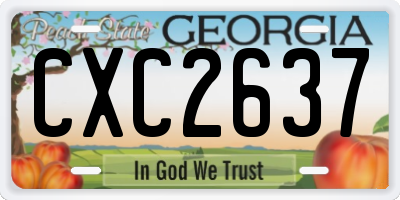 GA license plate CXC2637
