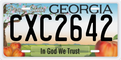 GA license plate CXC2642