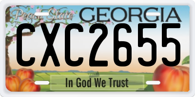 GA license plate CXC2655