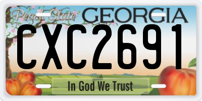 GA license plate CXC2691