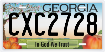 GA license plate CXC2728