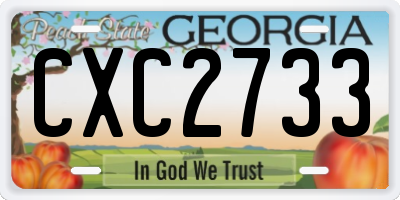 GA license plate CXC2733