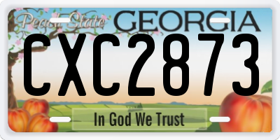 GA license plate CXC2873