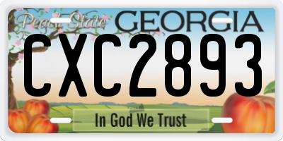 GA license plate CXC2893