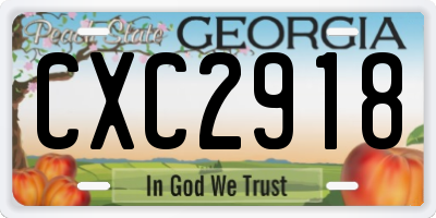 GA license plate CXC2918