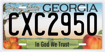 GA license plate CXC2950