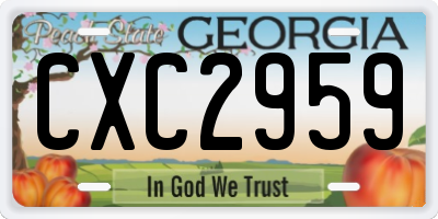 GA license plate CXC2959
