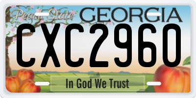 GA license plate CXC2960