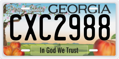 GA license plate CXC2988