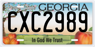 GA license plate CXC2989
