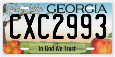 GA license plate CXC2993