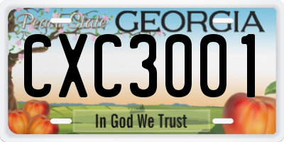 GA license plate CXC3001