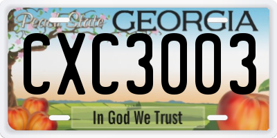GA license plate CXC3003