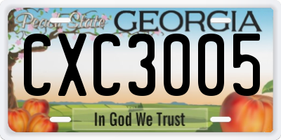 GA license plate CXC3005