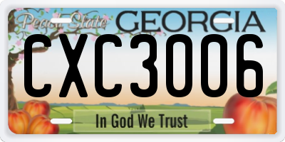 GA license plate CXC3006