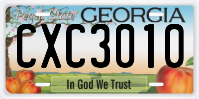 GA license plate CXC3010