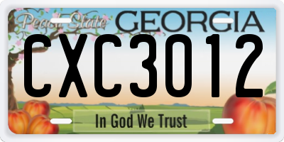 GA license plate CXC3012