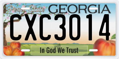 GA license plate CXC3014