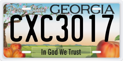 GA license plate CXC3017