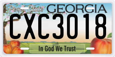 GA license plate CXC3018