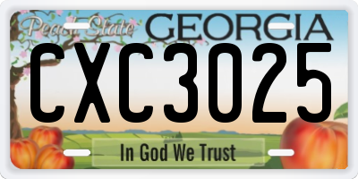 GA license plate CXC3025