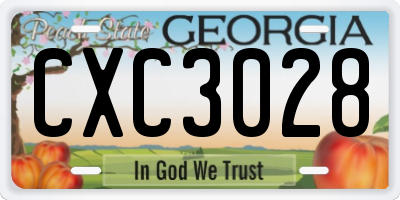 GA license plate CXC3028