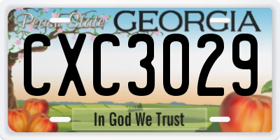 GA license plate CXC3029