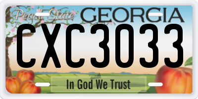 GA license plate CXC3033