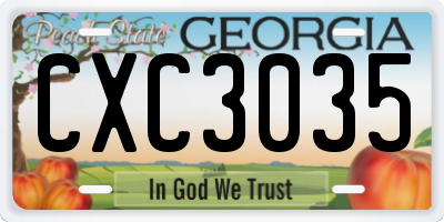 GA license plate CXC3035