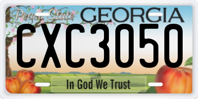 GA license plate CXC3050