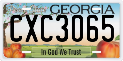 GA license plate CXC3065