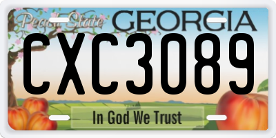 GA license plate CXC3089
