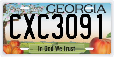 GA license plate CXC3091