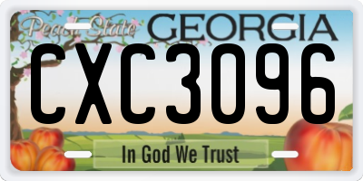 GA license plate CXC3096