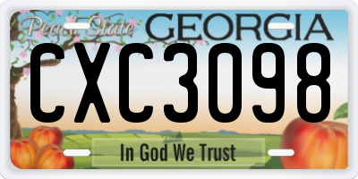 GA license plate CXC3098