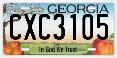 GA license plate CXC3105
