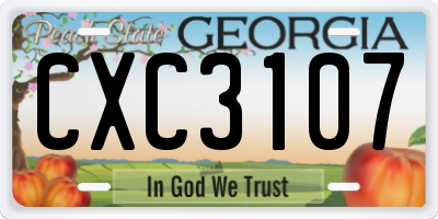 GA license plate CXC3107