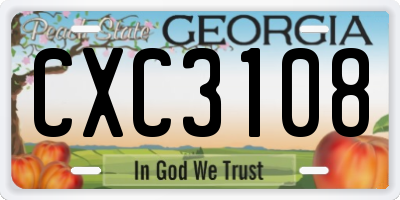GA license plate CXC3108