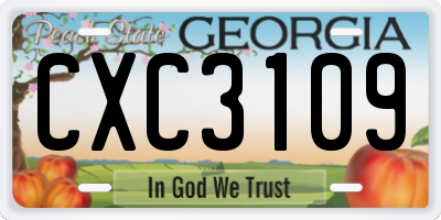 GA license plate CXC3109
