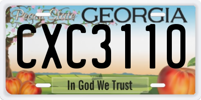GA license plate CXC3110