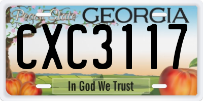 GA license plate CXC3117