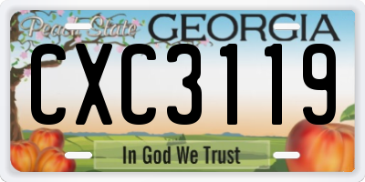 GA license plate CXC3119