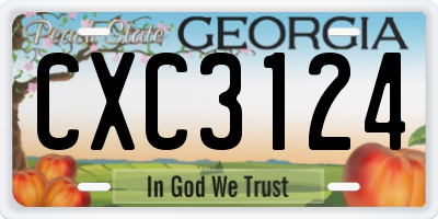 GA license plate CXC3124