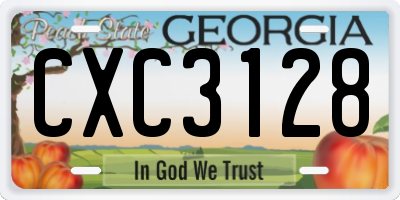 GA license plate CXC3128
