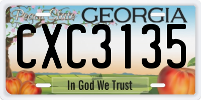 GA license plate CXC3135