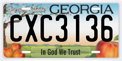 GA license plate CXC3136